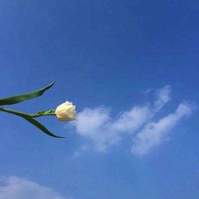 朝歌封神录oppo版下载