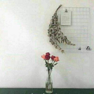 假面破坏王中文版下载